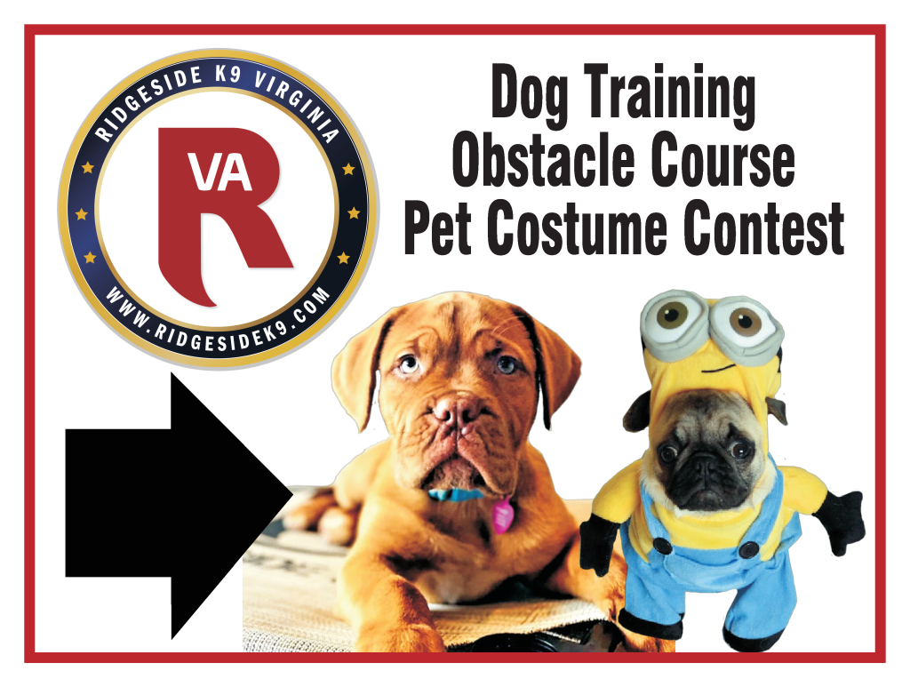 canine course